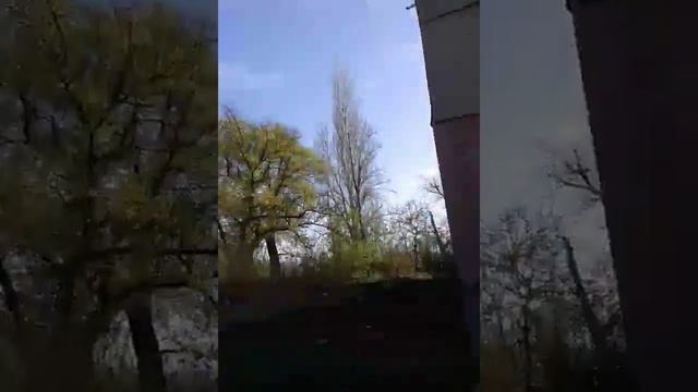 Бомжиха Лена смотреть онлайн