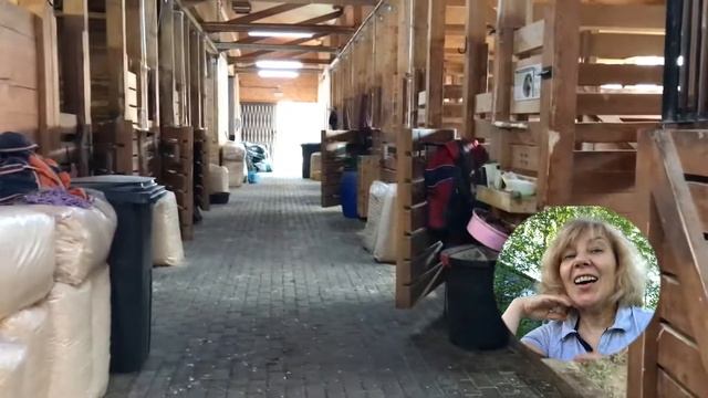 Как выбрать конюшню для постоя. Дорожная карта. Lifehack. смотреть онлайн