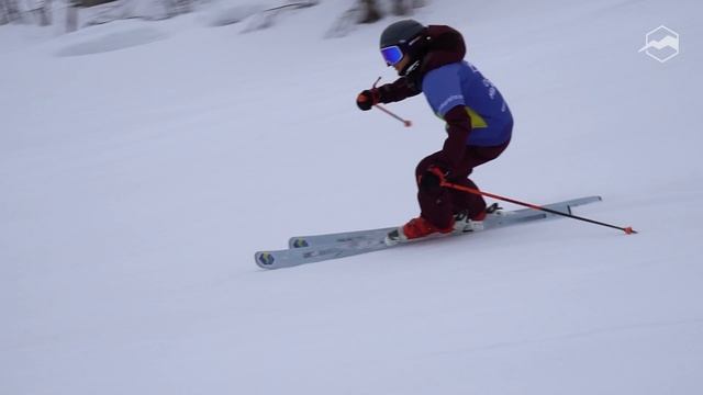 Горные лыжи Salomon STANCE W 80 2021-2022. Обзор смотреть онлайн
