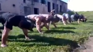 Комплекс Силовых Упражнений КСУ для Спецназа, аттестация