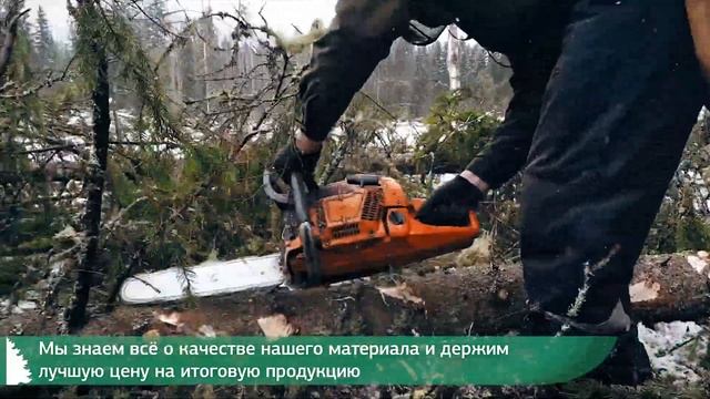 Заготовка леса 2019 от Валдайского Мастера. С чего начинается каркасный дом? Харвестер, лесоруб. смотреть онлайн