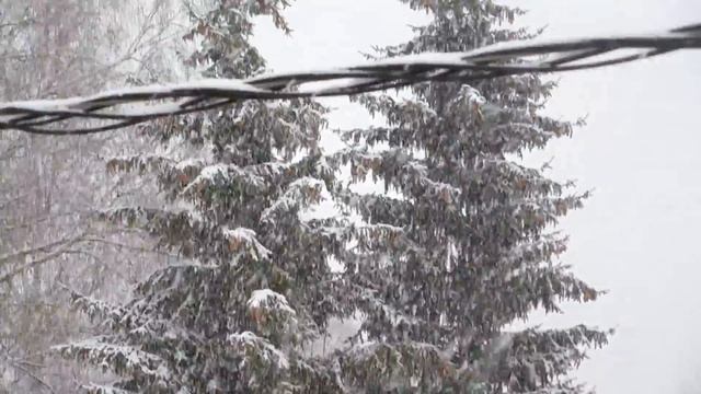 Снегопад в начале ноября....... смотреть онлайн
