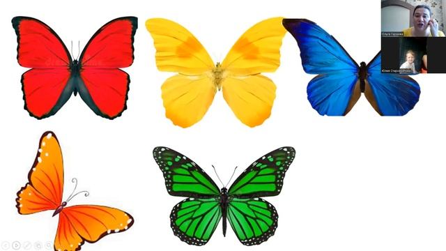 Развивающее онлайн занятие с ребенком 3 года 1 месяц. Бабочка и гусеница смотреть онлайн