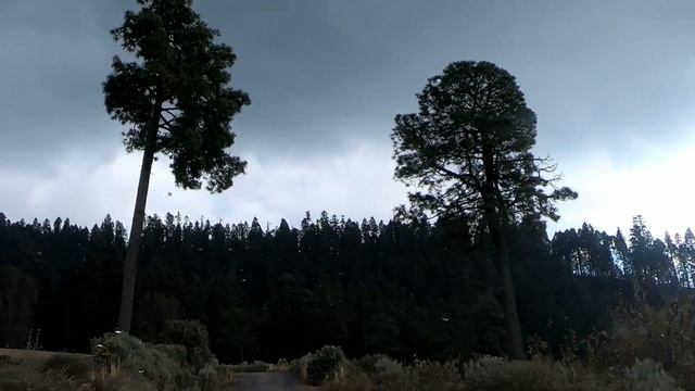 Мексика 2020 смотреть онлайн