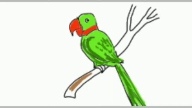 Parrot Drawing (Basic sketch for kids) смотреть онлайн