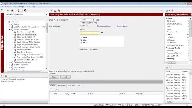 Version 5.6.0 New Feature: Batch Gilt Made Available смотреть онлайн
