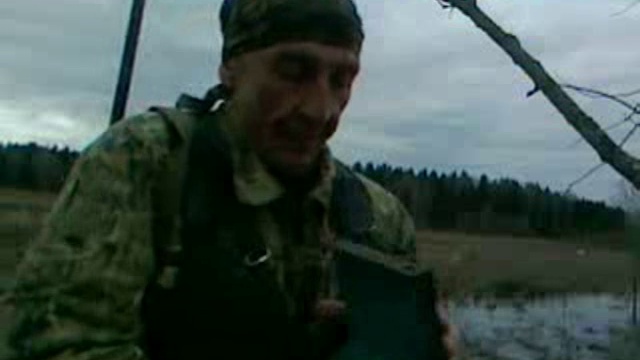 Сайга по жести MPEG