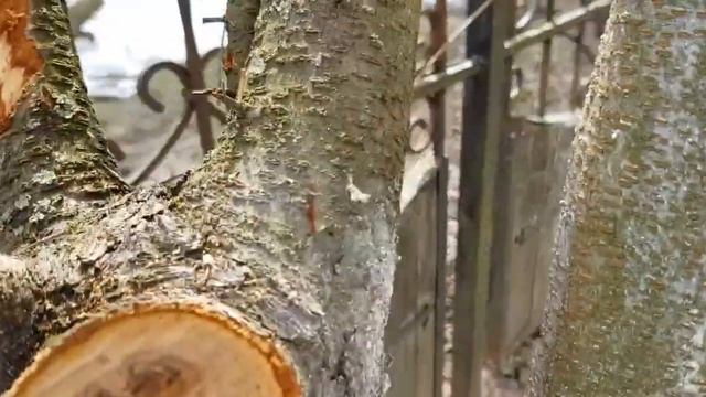 Работа с садовым варом смотреть онлайн