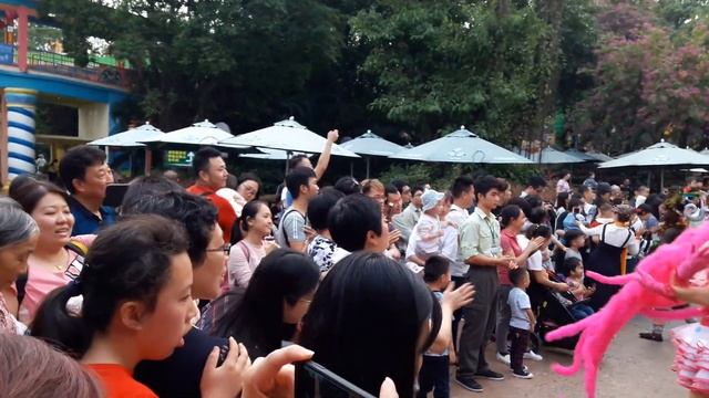 Guangzhou Chimelong Safari Park, China. смотреть онлайн
