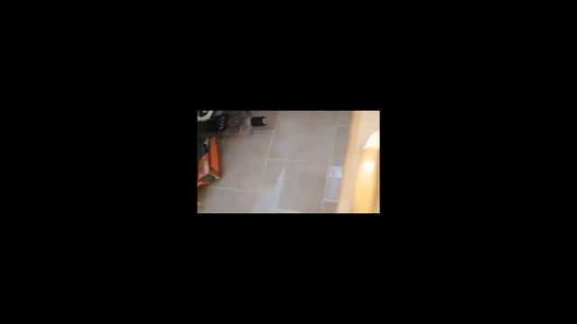 Оборона дома Запасы необходимого Подготовка к ЧС смотреть онлайн