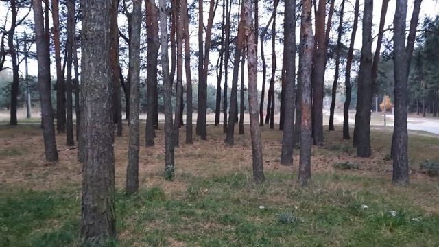 18.10.21.Брест ,Восток ..парк... смотреть онлайн