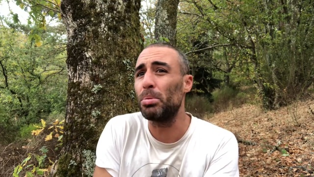 Hommage à mes mécènes смотреть онлайн