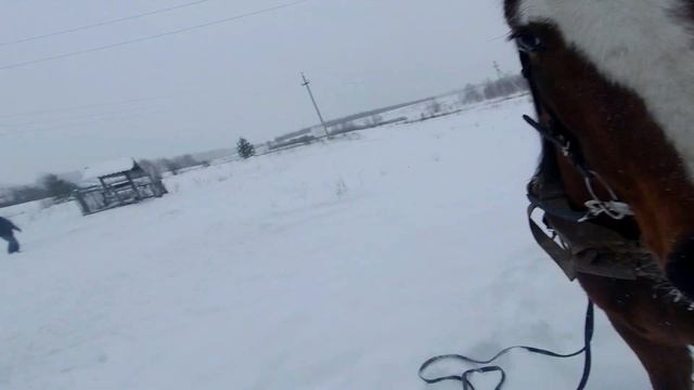 ЗАПРЯГЛИ МОЛОДУЮ ЛОШАДЬ В САМОДЕЛЬНЫЕ САНКИ. ОБУЧЕНИЕ смотреть онлайн