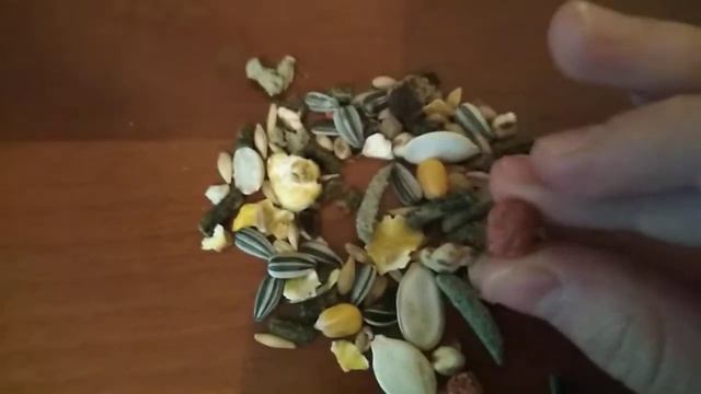 Какой корм лучше выбрать для хомячка. смотреть онлайн