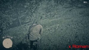 RDR 2 Как Добыть ПРЕВОСХОДНУЮ ШКУРУ гайд по охоте