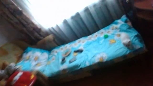 Обзор котёнка смотреть онлайн