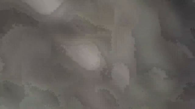 Какие то грибы на пне. Что это? Ложные опята. смотреть онлайн