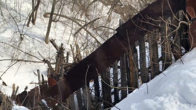 нфс самара смотреть онлайн