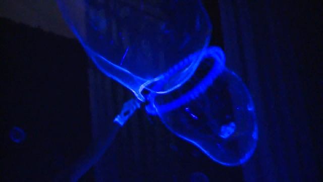 Шоу светящихся в неоне пузырей на Хэллоуин 89147035852 смотреть онлайн