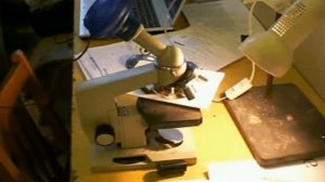 Воспаление. Опыт Конгейма