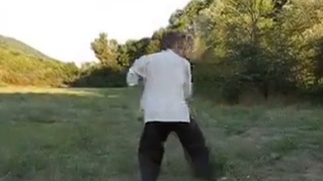 Тайцзи Усин чуй. Фрагменты формы.