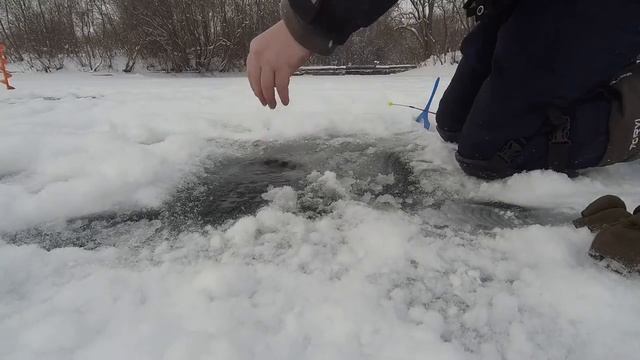 Форель на поставушку в Царской рыбалке 1 смотреть онлайн