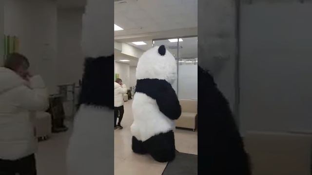 Панда поздравляет всех с 8 марта!! ❤?☺ смотреть онлайн