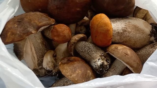 Новые ИДЕИ, МАКРАМЕ декор для дома, работы в саду, ПОЕЗДКИ, осенние заботы, Влог смотреть онлайн