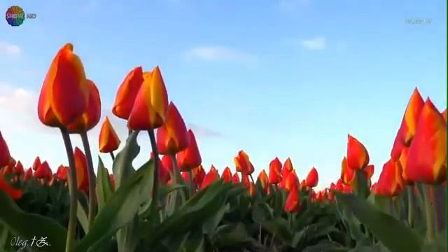 Жизнь есть любовь смотреть онлайн