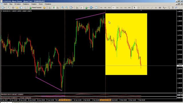 Трендовая торговля. Взгляд в будущее - 07.02.2017