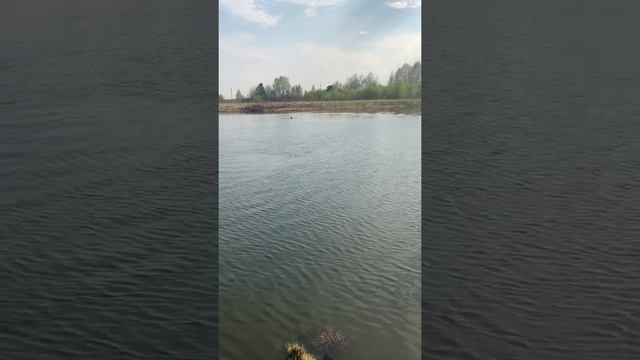 Томск, озеро Боярское Томские моржи смотреть онлайн