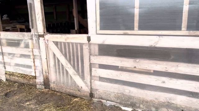 Дорпер Ягнёнок f2 смотреть онлайн