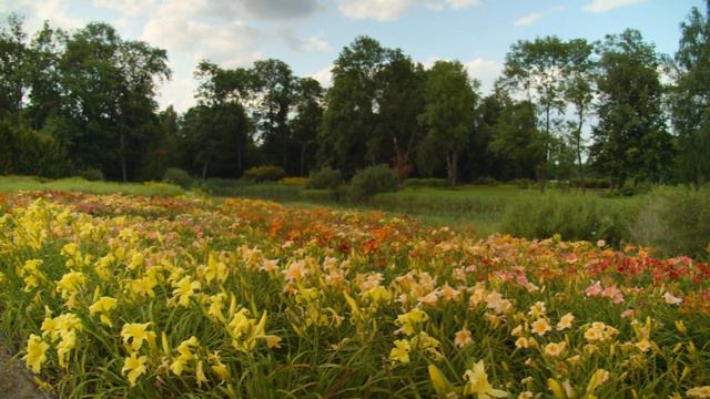 Demis Roussos - Forever and Ever (Saxophone Cover by JK Sax) смотреть онлайн