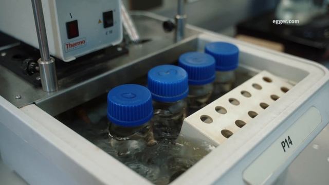 Эггер в России смотреть онлайн