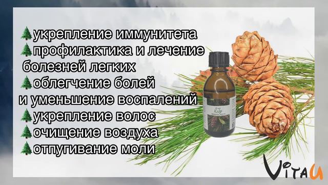 Масло Кедра - магазин Vitau смотреть онлайн
