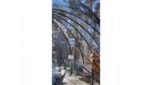 ШОК-ОБЗОР: сравниваем купольные беседки