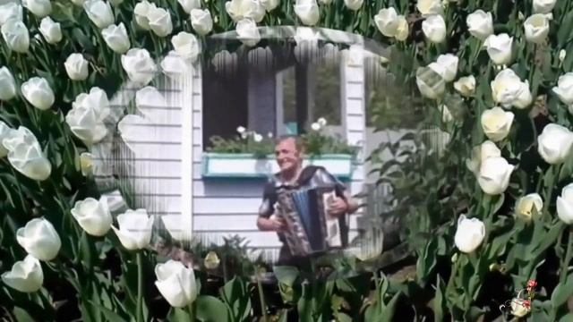 "На двоих гармошка" текст В. Корольков-В. Сазонова муз. А. Сазонов поёт А. Кисилёва смотреть онлайн