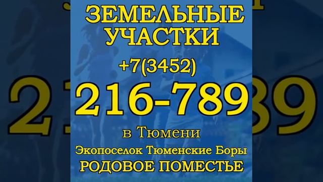 Какой бизнес организовать на своей земле ЛПХ Участки от 100 соток в Тюмени для ЛПХ смотреть онлайн