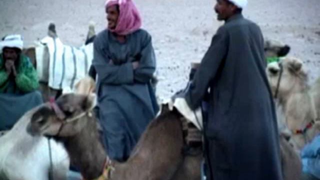 джип-сафари.avi смотреть онлайн