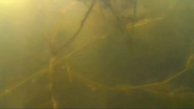 Тестирование Action камеры 2. Съемка под водой.