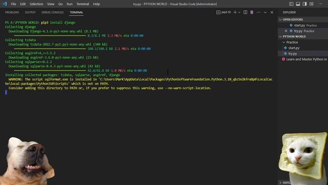 HOW TO INSTALL DJANGO MODULE USING MICROSOFT VS CODE IN TERMINAL | PYTHON TUTORIAL 006 смотреть онлайн