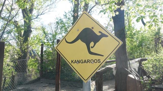 ZOO BUDAPEST COMPLETE TOUR 4K - NICE ACTIVITY TO DO IN BUDAPEST WITH KIDS #BUDAPEST #ZOO #ANIMALS смотреть онлайн
