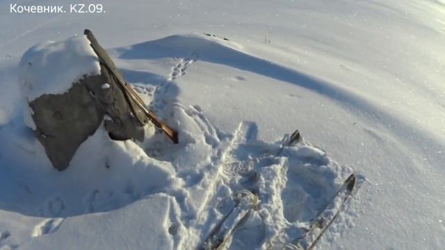 #Охота на зайца-русака. Лучшие моменты сезона января-февраля 2023 года. часть - 2 ... смотреть онлайн