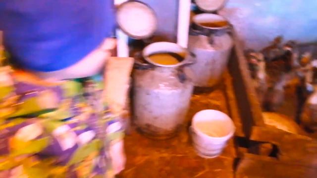 Кирилл в селе утенок, цыпленок и голуби смотреть онлайн