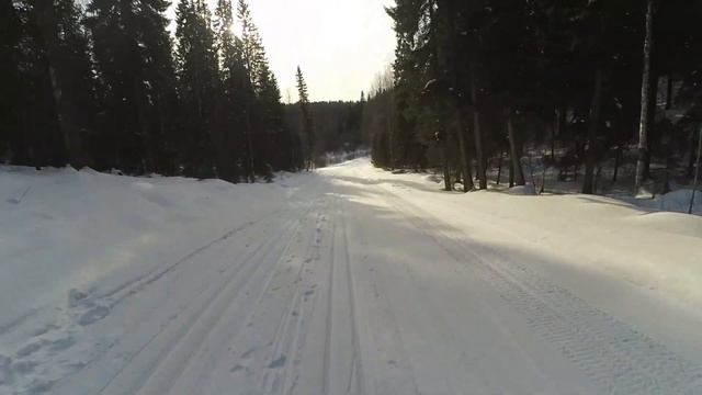 На лыжах за адреналином! Лесные трассы. смотреть онлайн