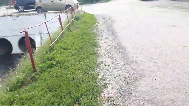 18 августа 2021 год. Водоплавающие утки продолжают гибнуть в реке Темерник. Сбросы канализации! смотреть онлайн