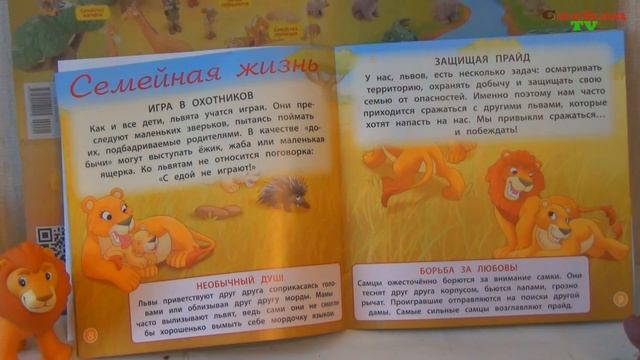 Обзор журнала "Животные дикой природы" №1 животные саванны лев и бегемотик. ДеАгостини (DeAgostini) смотреть онлайн
