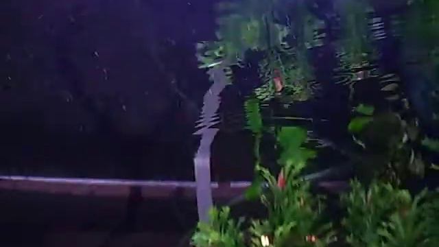 аквариум,огромные скаты и другие большие рыбки смотреть онлайн