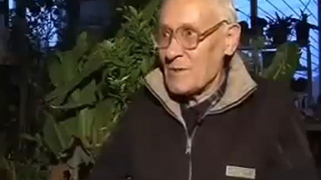 Болотов волшебник выращивает новые глаза, пальцы, конечности смотреть онлайн