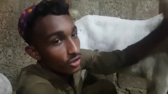 Gulabi Hotel Goats in Karachi |Documentary смотреть онлайн